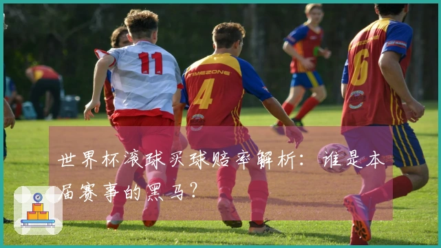 世界杯滚球买球赔率解析:谁是本届赛事的黑马?