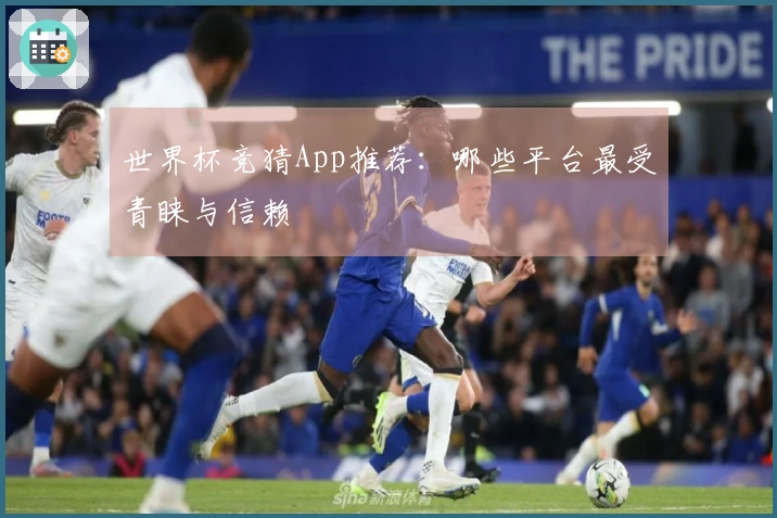 世界杯竞猜App推荐：哪些平台最受青睐与信赖