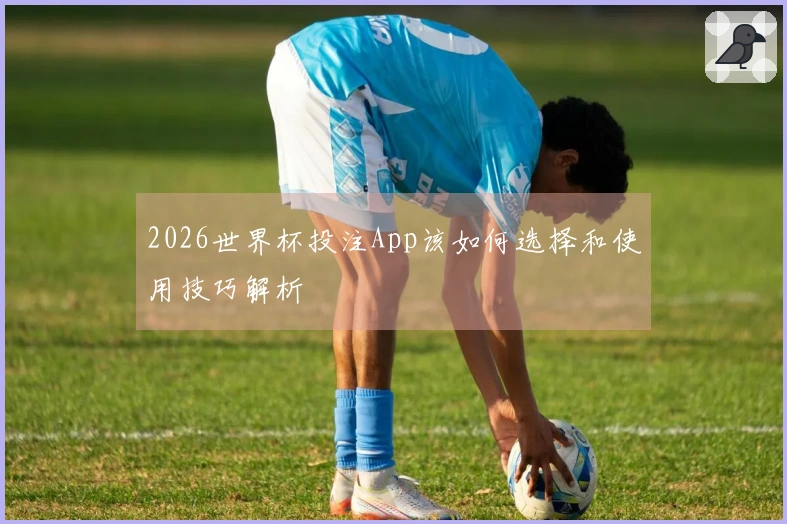 2026世界杯投注App该如何选择和使用技巧解析