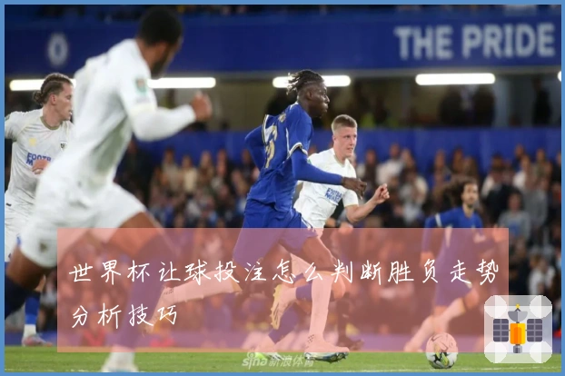 世界杯让球投注怎么判断胜负走势分析技巧