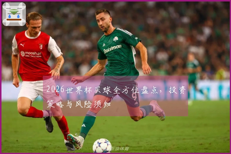 2026世界杯买球全方位盘点，投资策略与风险须知