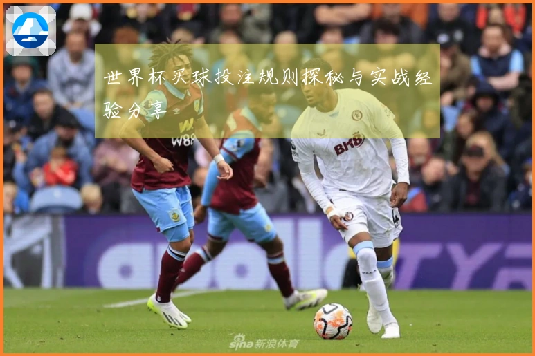 世界杯买球投注规则探秘与实战经验分享