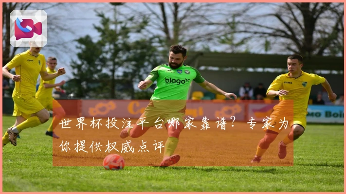 世界杯投注平台哪家靠谱？专家为你提供权威点评