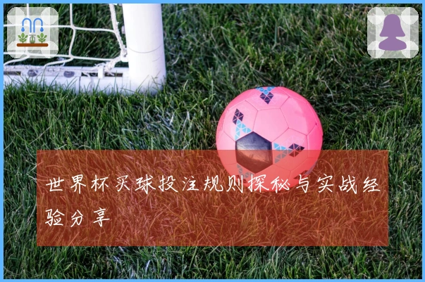 世界杯买球投注规则探秘与实战经验分享