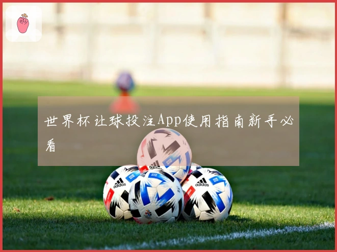 世界杯让球投注App使用指南新手必看