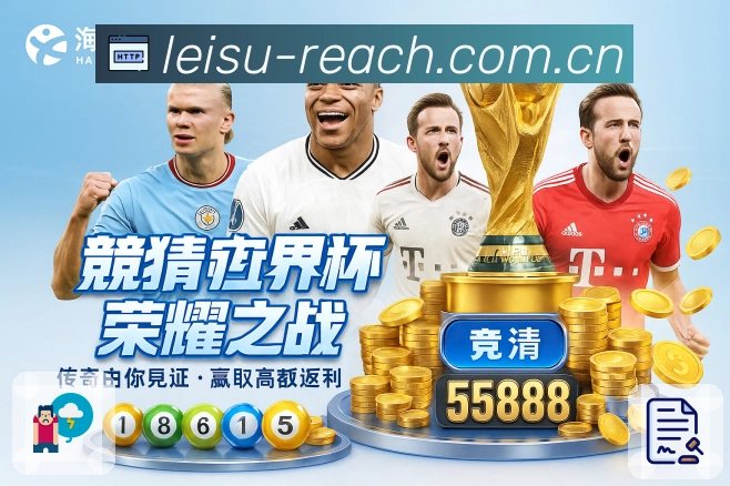 雷速弱网访问优化